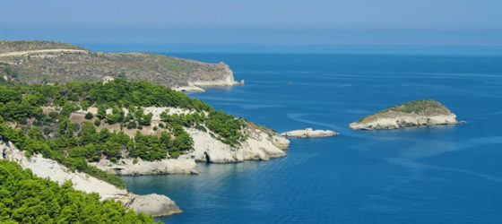 Spiagge del Gargano