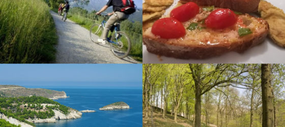 Dove e come divertirsi nel Gargano