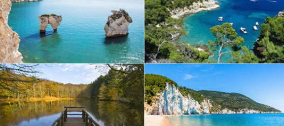 Il Gargano protagonista in TV